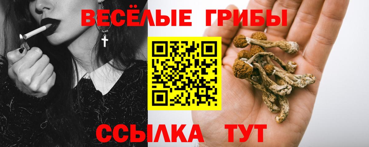 Псилоцибиновые грибы Cubensis  Вход с VPN  Всеволожск  закладки  Псилоцибиновые грибы Magic Shrooms 